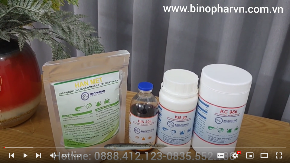 Phòng trị bệnh ghẻ, lở loét, đốm đỏ, xuất huyết, nấm trên cá kèo