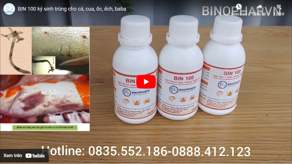 BIN 100 ký sinh trùng cho cá, cua, ốc, ếch, baba