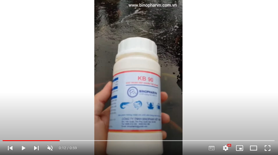 KB 90 trị lở loét đốm đỏ cá koi